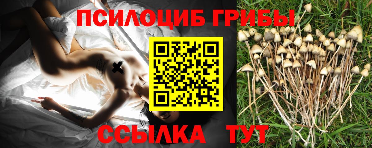 Псилоцибиновые грибы прущие грибы Таганрог
