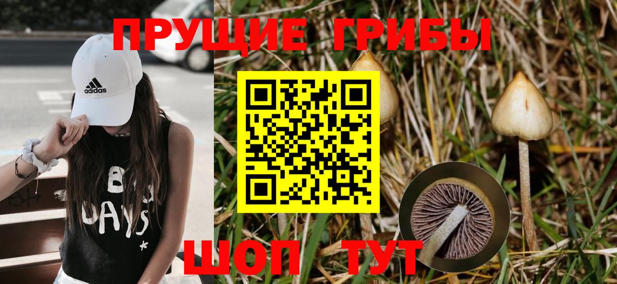 Галлюциногенные грибы Psilocybine cubensis  Вход с VPN  Таганрог  Псилоцибиновые грибы MAGIC MUSHROOMS 